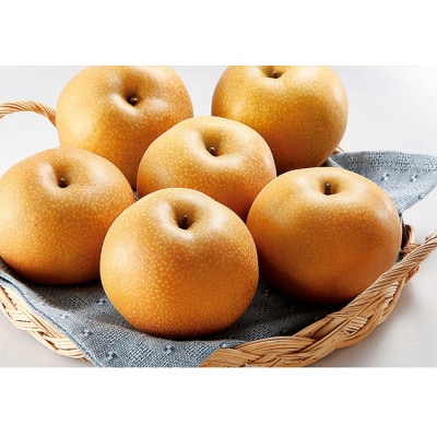 和歌山県産 旬の梨 約2kg【2024年8月中旬以降順次発送】【配送不可地域：離島】