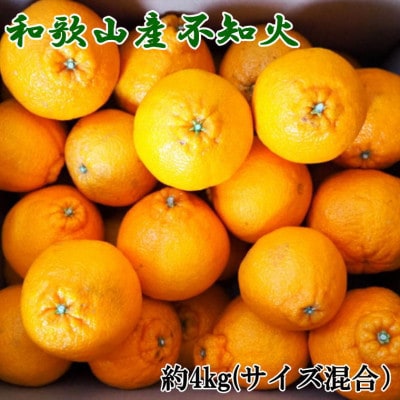 和歌山県産不知火約4kg(サイズ混合)(上富田町)