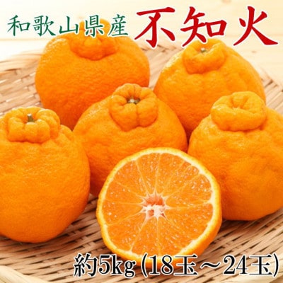 和歌山県産不知火約5kg(18玉～24玉おまかせ)(上富田町)