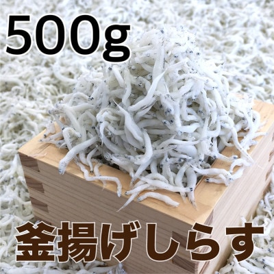 釜揚げしらす500g【配送不可地域：離島・北海道・沖縄県】