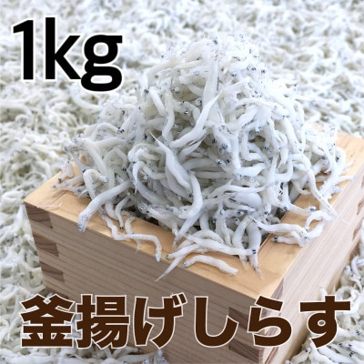 釜揚げしらす　1kg(500g×2パック)【配送不可地域：離島・北海道・沖縄県】