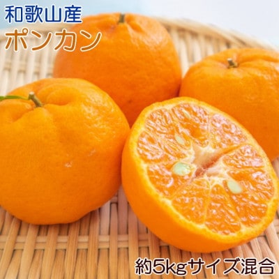 和歌山産ポンカン約5kg(サイズ混合・秀優品)(上富田町)