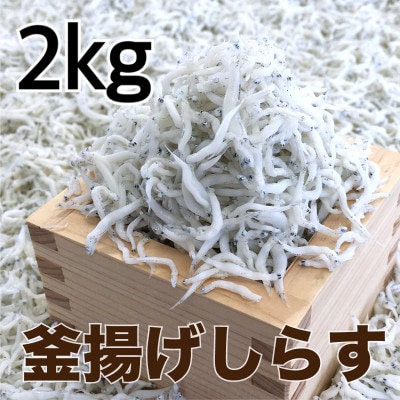 釜揚げしらす2kg(500g×4パック)【配送不可地域：離島・北海道・沖縄県】