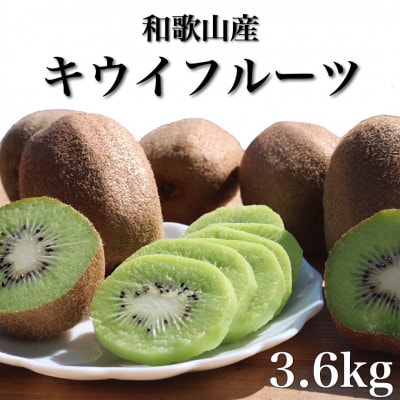 和歌山産　キウイフルーツ　M～4Lサイズ　約3.6kg　秀品