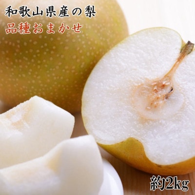 和歌山県産の梨約2kg(品種おまかせ)【上富田町】【2026年度発送分】【配送不可地域：離島】