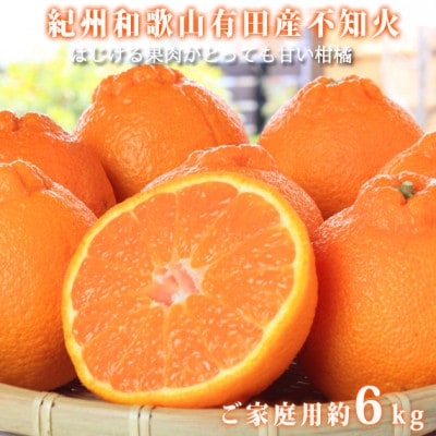 【ご家庭用】紀州有田産不知火(しらぬひ) 6kg【配送不可地域：離島】