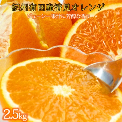 とにかくジューシー清見オレンジ　2.5kg