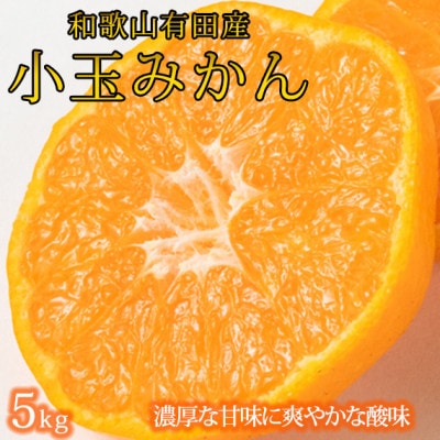 【2026年11月下旬より発送】有田の小粒みかん5kg　(S～3Sサイズ混合)