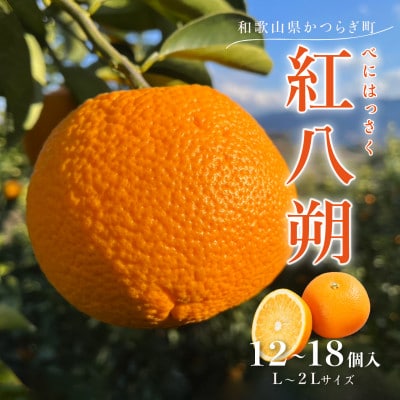 先行予約!紅はっさく 約5kg/12～18個入り(L～2Lサイズ)こだわり農家厳選!