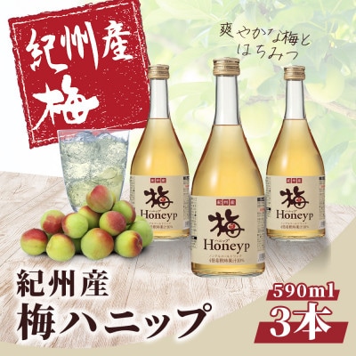 希釈用梅ドリンク　紀州産梅ハニップ 590g 3本セット