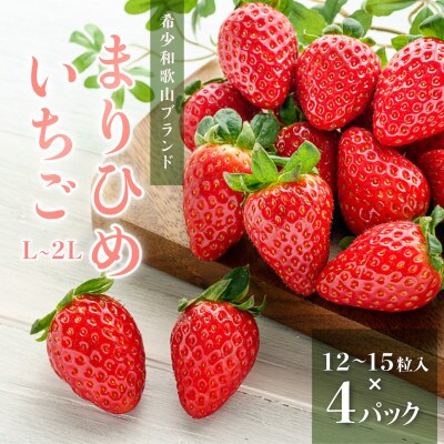 先行受付　まりひめイチゴ L～2L 12粒～15粒×4パック【配送不可地域：離島】