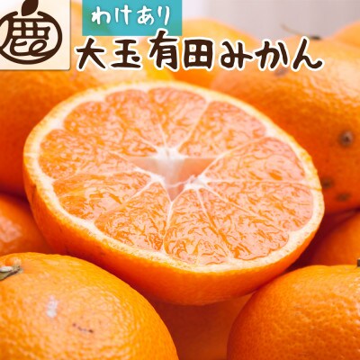家庭用 大きな有田みかん2.5kg+250g(傷み補償分)【光センサー選果】【訳あり】【配送不可地域：離島・北海道・沖縄県】