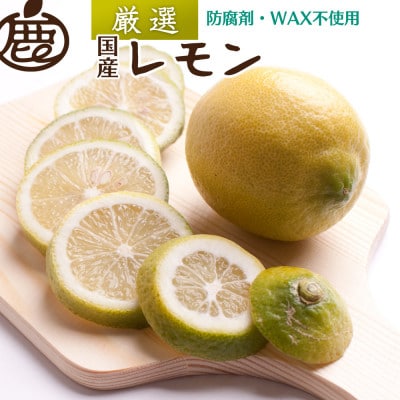 レモン1kg+250g(傷み補償分)【和歌山有田産】【防腐剤・WAX不使用、安心の国産レモン】【配送不可地域：離島・北海道・沖縄県】