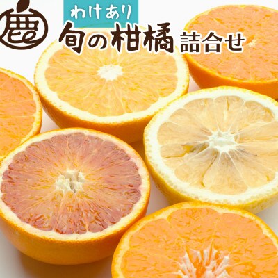 家庭用 柑橘詰合せ1kg+250g(傷み補償分)【訳あり】【配送不可地域：離島・北海道・沖縄県】