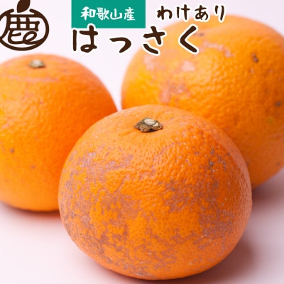 家庭用 はっさく2.5kg+250g(傷み補償分)【八朔みかん】【光センサー選別】【訳あり】【配送不可地域：離島・北海道・沖縄県】