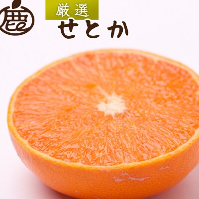 厳選 せとか2.5kg+250g(傷み補償分)【柑橘・春みかんの王様】【光センサー選果・食べ頃出荷】【配送不可地域：離島・北海道・沖縄県】