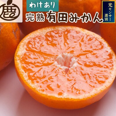 家庭用 完熟有田みかん2.5kg+250g(傷み補償分)【光センサー選果】【訳あり】【配送不可地域：離島・北海道・沖縄県】