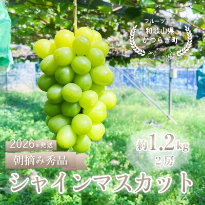 ぶどう先行予約!　シャインマスカット秀品　2房(約1.2kg)こだわり農家厳選!【配送不可地域：離島】