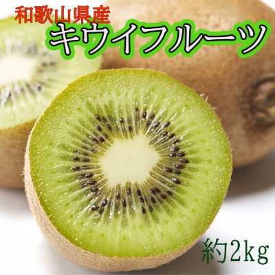 和歌山県産キウイフルーツ約2kg(サイズ混合)【上富田町】