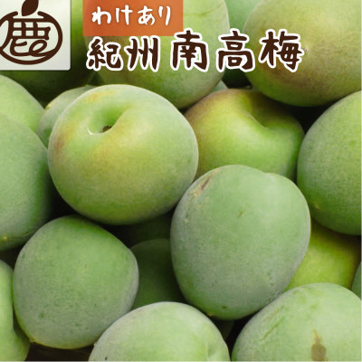 家庭用 紀州南高梅(青梅)5kg+250g(傷み補償分)【梅干し・梅ジュースに】【訳あり】【配送不可地域：離島・北海道・沖縄県】