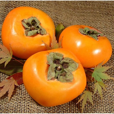 種なし柿 【秀品:サイズ・品種おまかせ】かき 約7.5kg