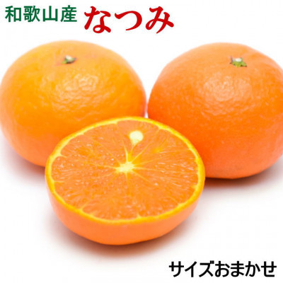 【希少柑橘】和歌山県産　なつみ約5kg(S～2Lサイズおまかせ)(上富田町)