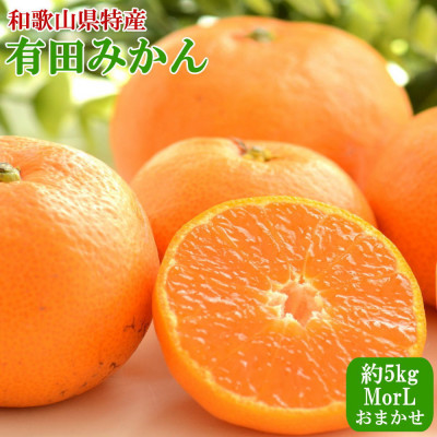 [秀品]和歌山有田みかん約5kg(MサイズまたはLサイズのいずれかをお届け) (上富田町)