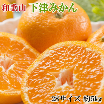 【産直・秀品】和歌山下津みかん約5kg(2Sサイズ) (上富田町)