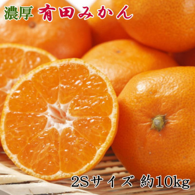 [秀品]和歌山有田みかん約10kg(2Sサイズ)「2026年11月中旬より順次発送」(上富田町)