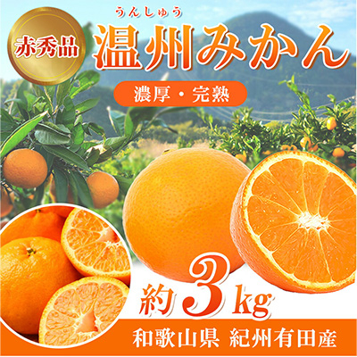 【2026年11月下旬より発送赤秀品　紀州有田産濃厚完熟温州みかん　3kg(MサイズまたはSサイズ)