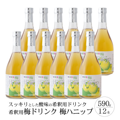 希釈用梅ドリンク 梅ハニップ 12本セット