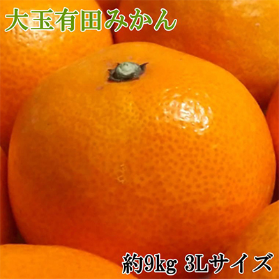 【食べごたえ十分】和歌山有田みかん大玉約9kg(3Lサイズ・秀品)【上富田町】