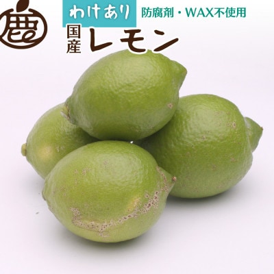 家庭用 レモン5kg+250g(傷み補償分)【和歌山有田産】【防腐剤・WAX不使用】【訳あり】【配送不可地域：離島・北海道・沖縄県】