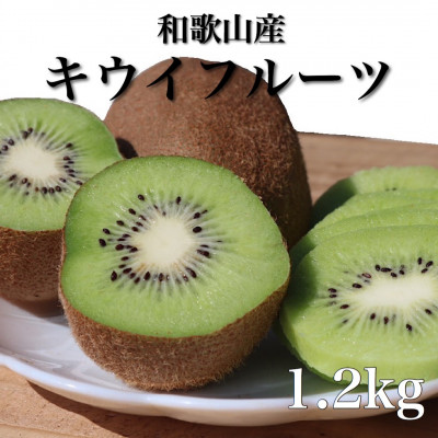 和歌山産　キウイフルーツ　約1.2kg　秀品