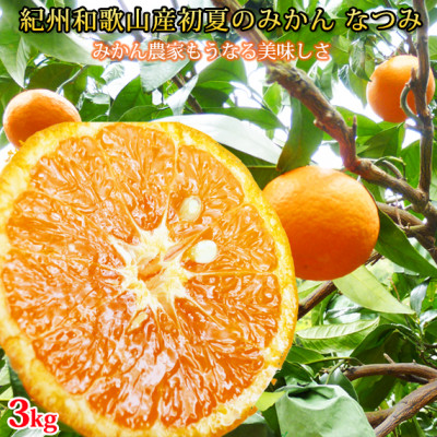 初夏のみかん　なつみ3kg【配送不可地域：離島】