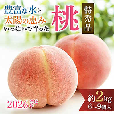 先行受付!　旬の桃　(特秀品)　約2kg　6～9個入【配送不可地域：離島】