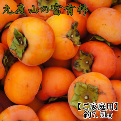 ≪柿の名産地≫九度山の富有柿約7.5kg(サイズ混合　ご家庭用)(上富田町)