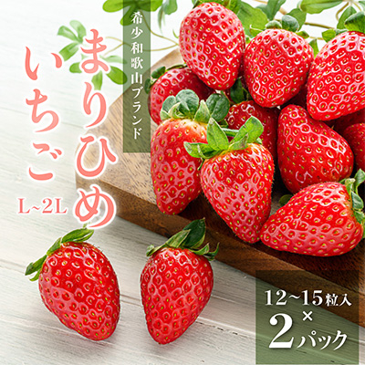 先行受付　まりひめイチゴ L～2L 12粒～15粒×2パック【配送不可地域：離島】