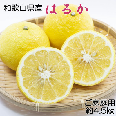 【さわやか柑橘】和歌山県産はるかみかん約4.5kg(サイズ混合　ご家庭用)【上富田町】