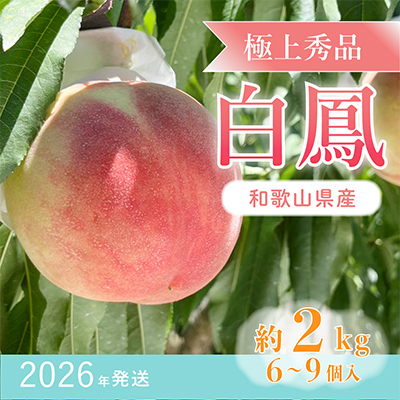 先行受付!　桃の王様【白鳳】　特秀品　約2kg　6～9個入【配送不可地域：離島】
