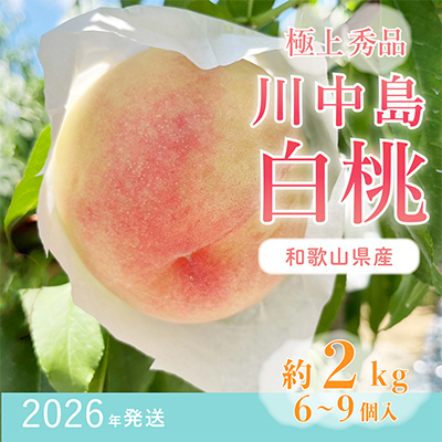 桃先行受付!　【川中島白桃】　(大玉特秀品)　約2kg　6～9個入　こだわり農家厳選!【配送不可地域：離島】