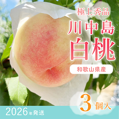 桃先行受付!　【川中島白桃】大玉特秀品　食べきりやすい3個入り　こだわり農家厳選!【配送不可地域：離島】