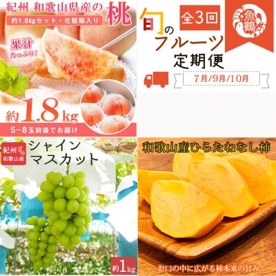 【発送月固定定期便】紀州和歌山産旬のフルーツセット(桃・シャインマスカット・ひらたねなし柿)全3回【配送不可地域：離島・北海道・沖縄県】
