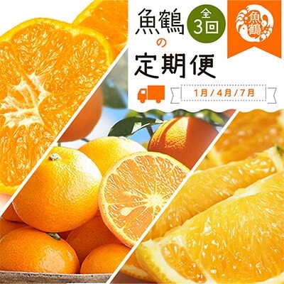 【発送月固定定期便】紀州和歌山産旬のフルーツセット(みかん・なつみ・バレンシア)全3回【配送不可地域：離島】