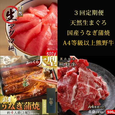 【毎月定期便】紀州和歌山うまいもんセットB(生まぐろ・うなぎ蒲焼・熊野牛)全3回【配送不可地域：離島・北海道・沖縄県】