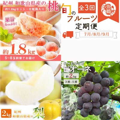 【発送月固定定期便】紀州和歌山産旬のフルーツセット(桃・梨・ピオーネ)全3回【配送不可地域：離島・北海道・沖縄県】