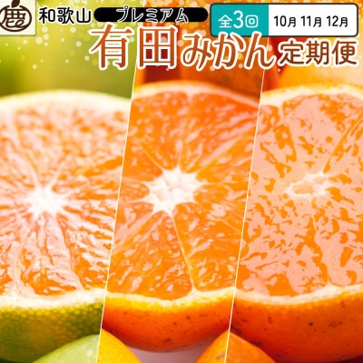 【発送月固定定期便】厳選 柑橘定期便SS(10～12月)全3回【配送不可地域：離島・北海道・沖縄県】