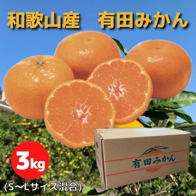 和歌山県産 有田みかん 約3kg 秀品