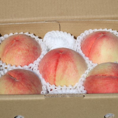 和歌山県産 桃(もも) 5玉〜6玉 秀品[配送不可地域:離島・北海道・沖縄県]