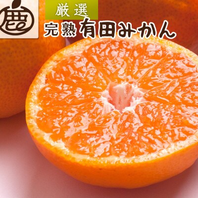 プレミアム 完熟有田みかん5kg+250g(傷み補償分)[光センサー選果][温州みかん][配送不可地域:離島・北海道・沖縄県]